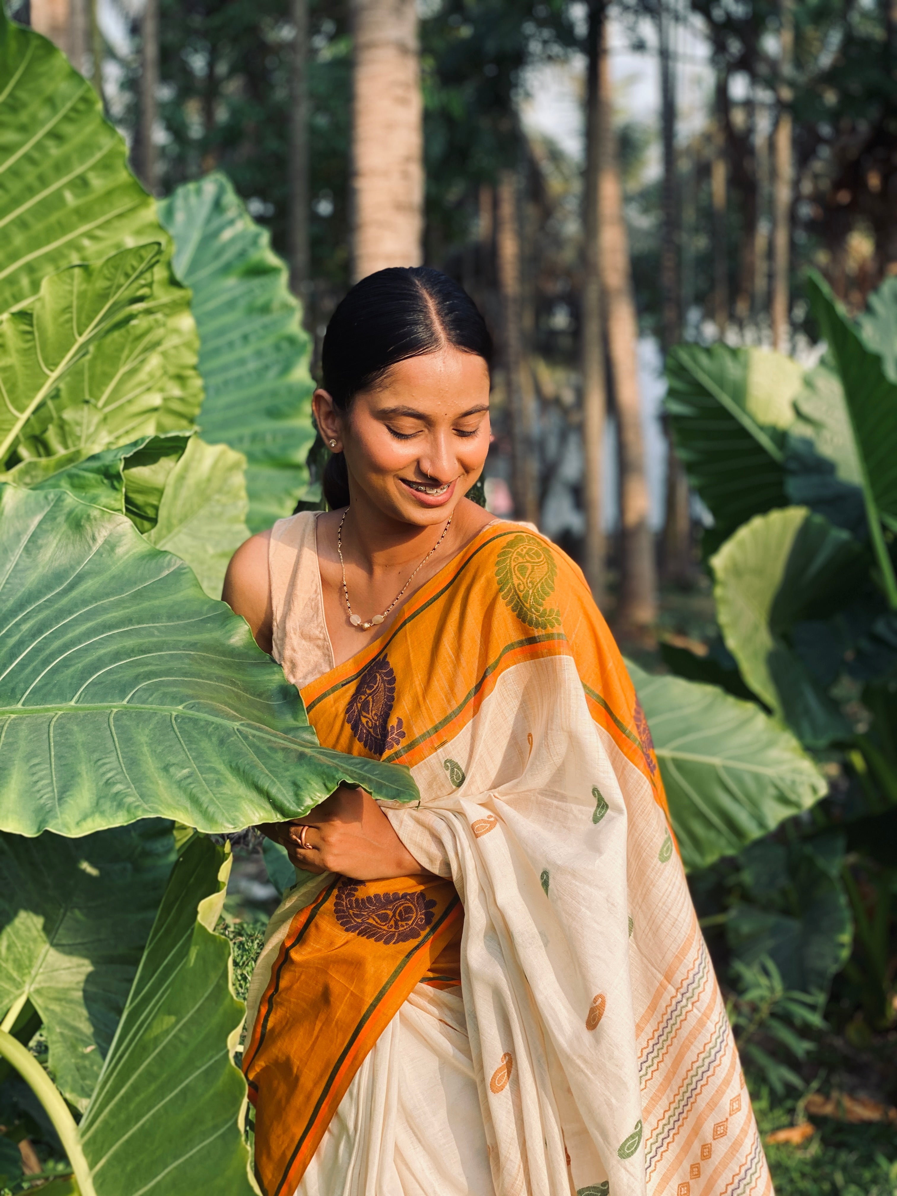 Jamdhani Cotton Saree