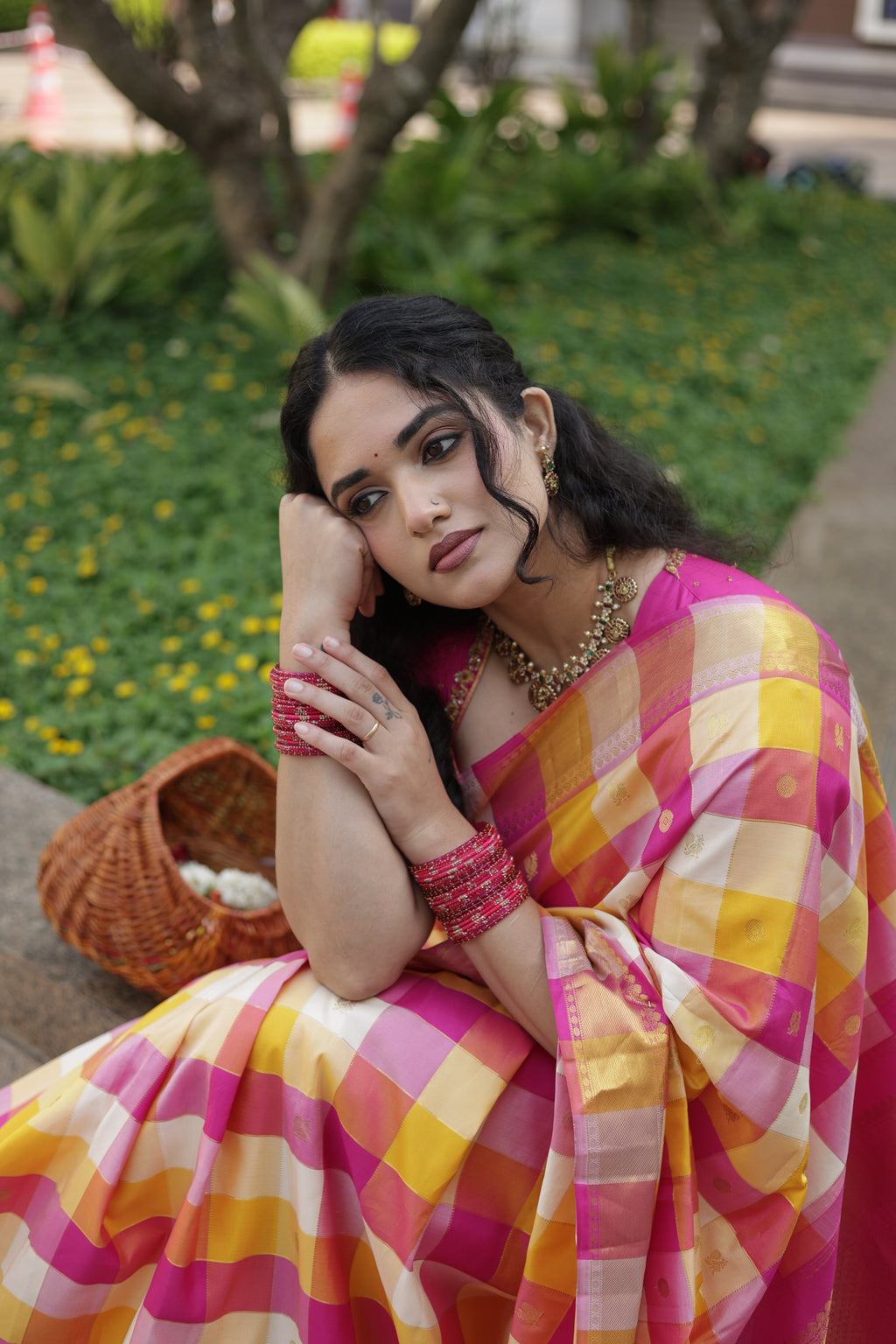 Paalum Pulum Handloom Kanjivaram Silk Saree