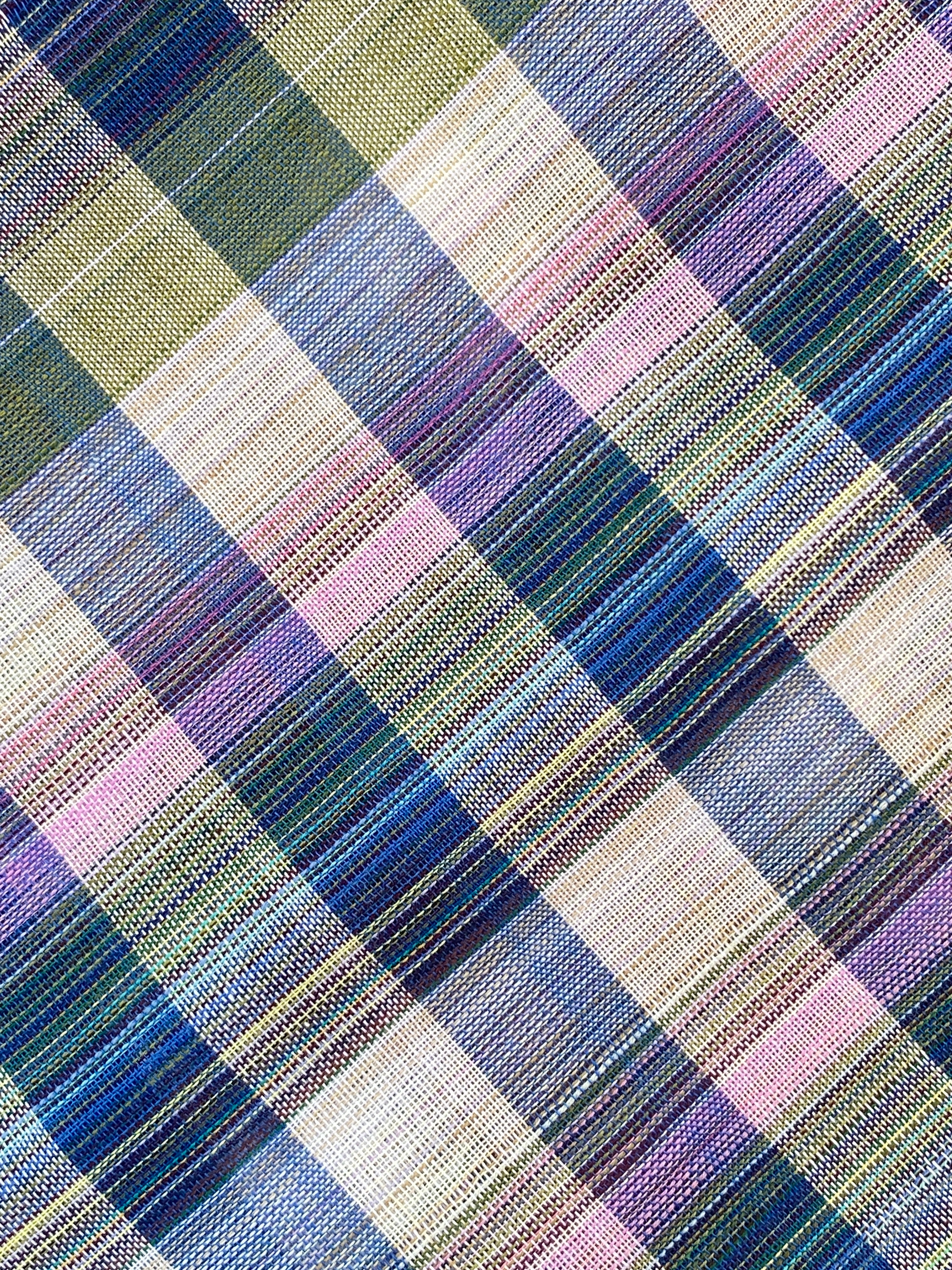 Checks Cotton Saree - Blue Green