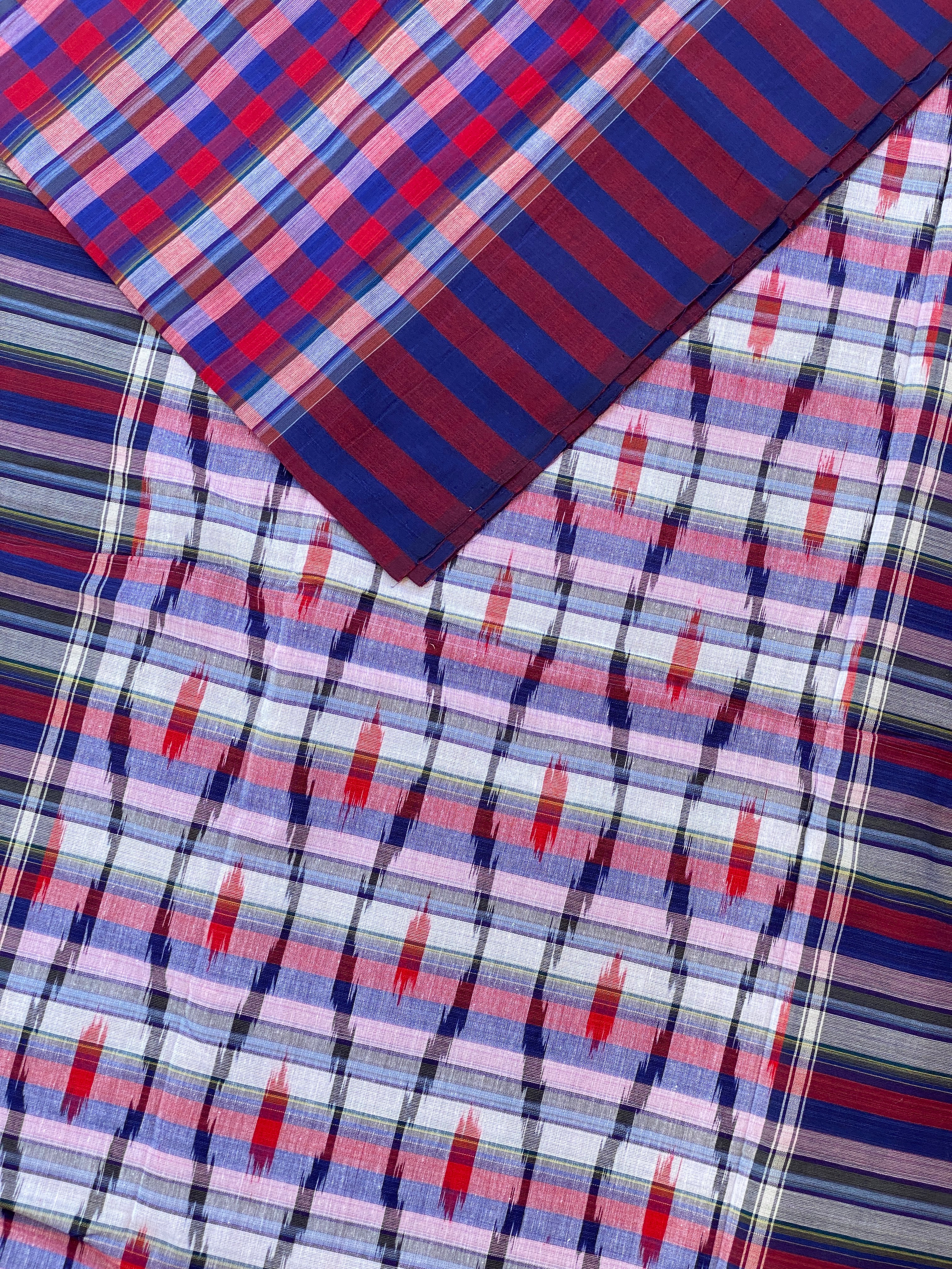 Checks Cotton Saree - Blue Red