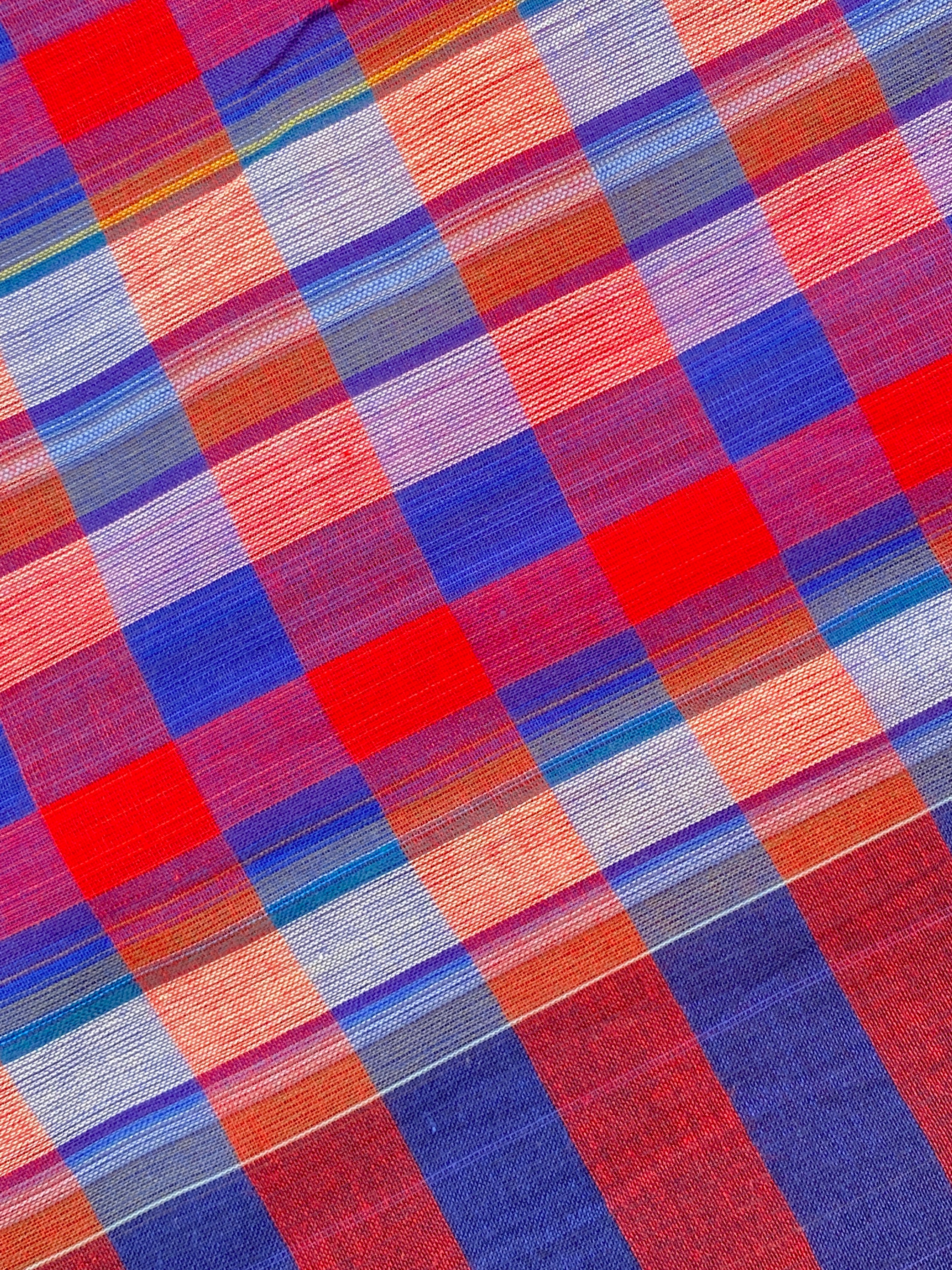 Checks Cotton Saree - Blue Red
