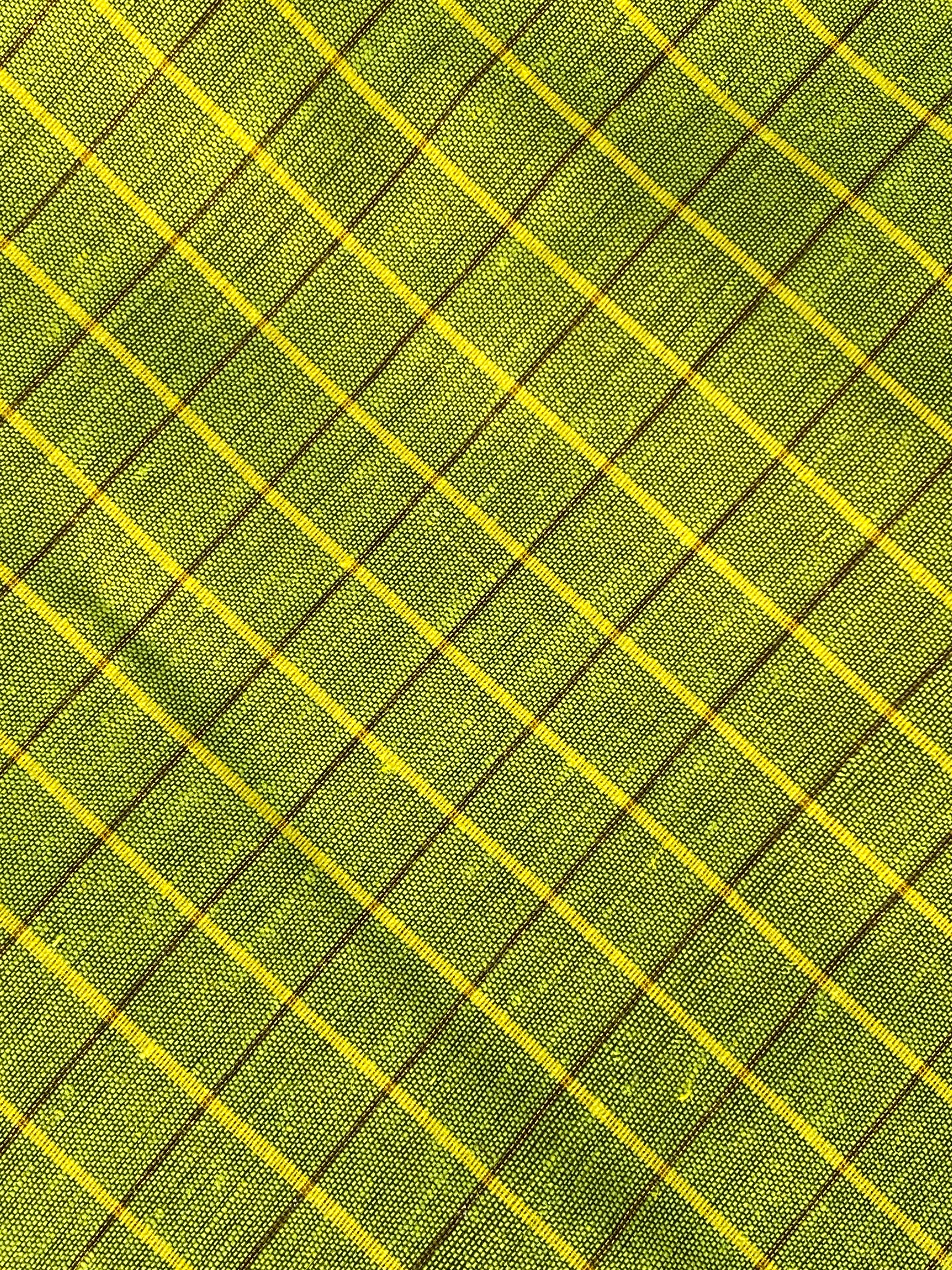 Kalyani Cotton - Parrot Green (Purple Border)