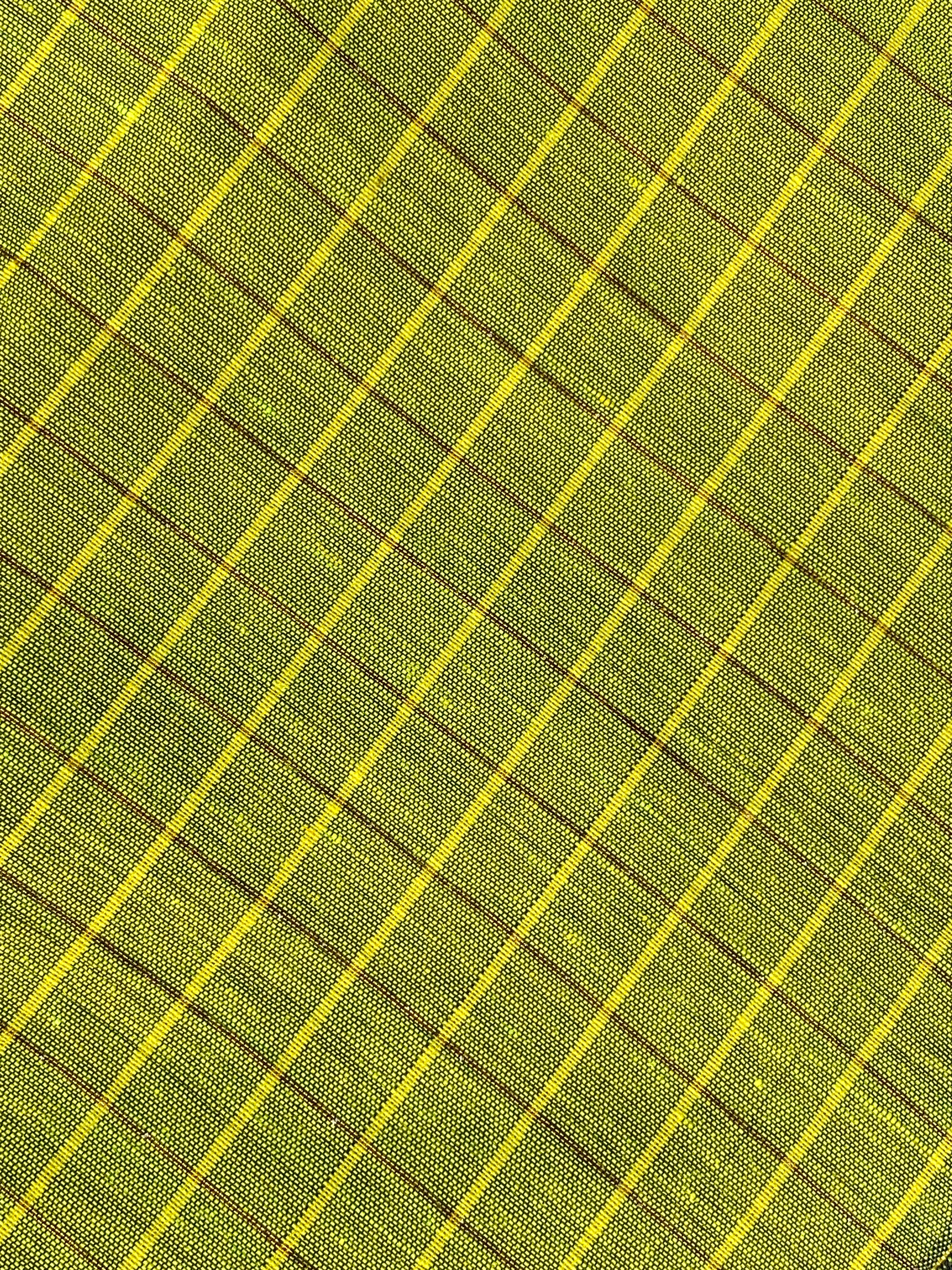 Kalyani Cotton - Parrot Green (Black Border)