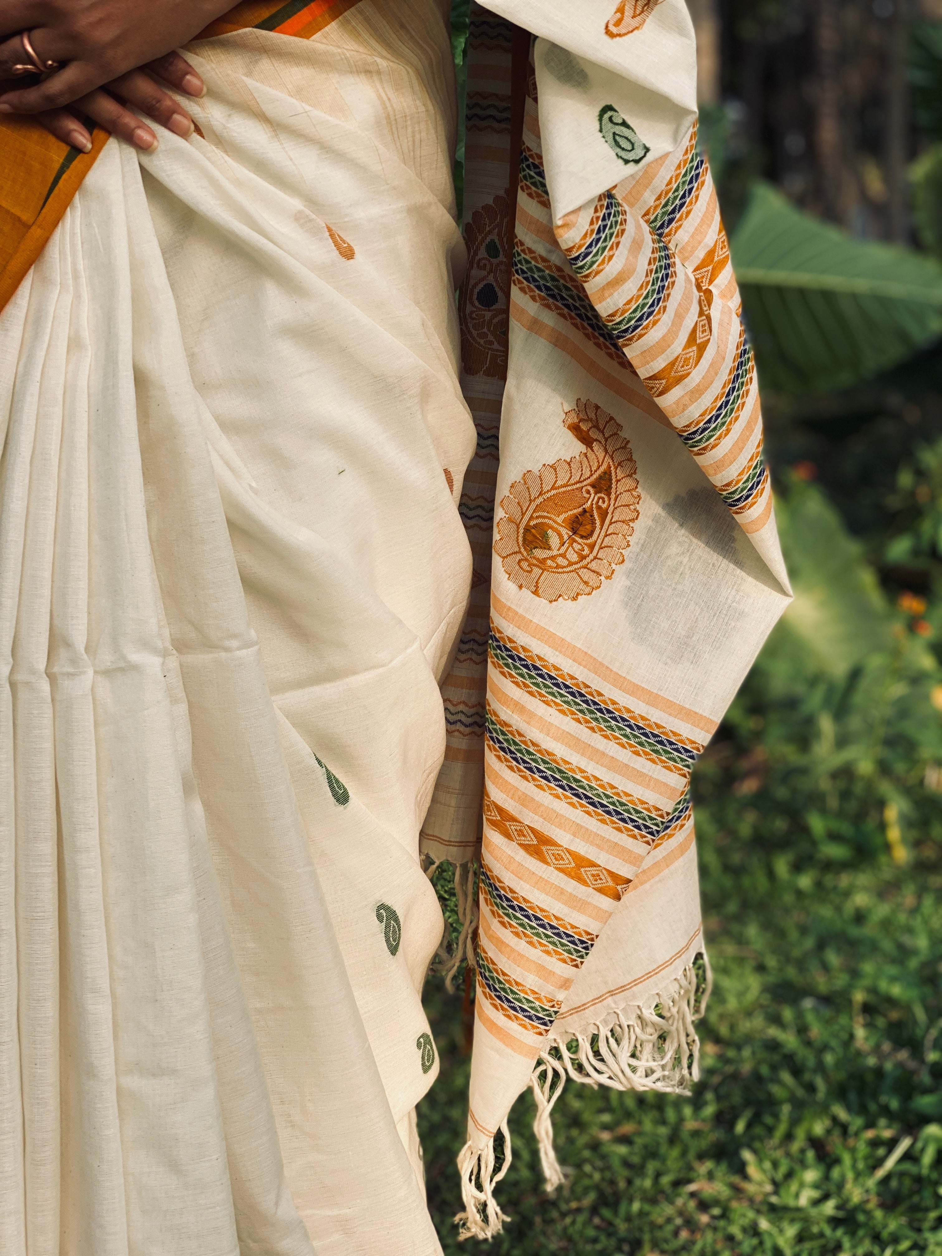 Jamdhani Cotton - Cream