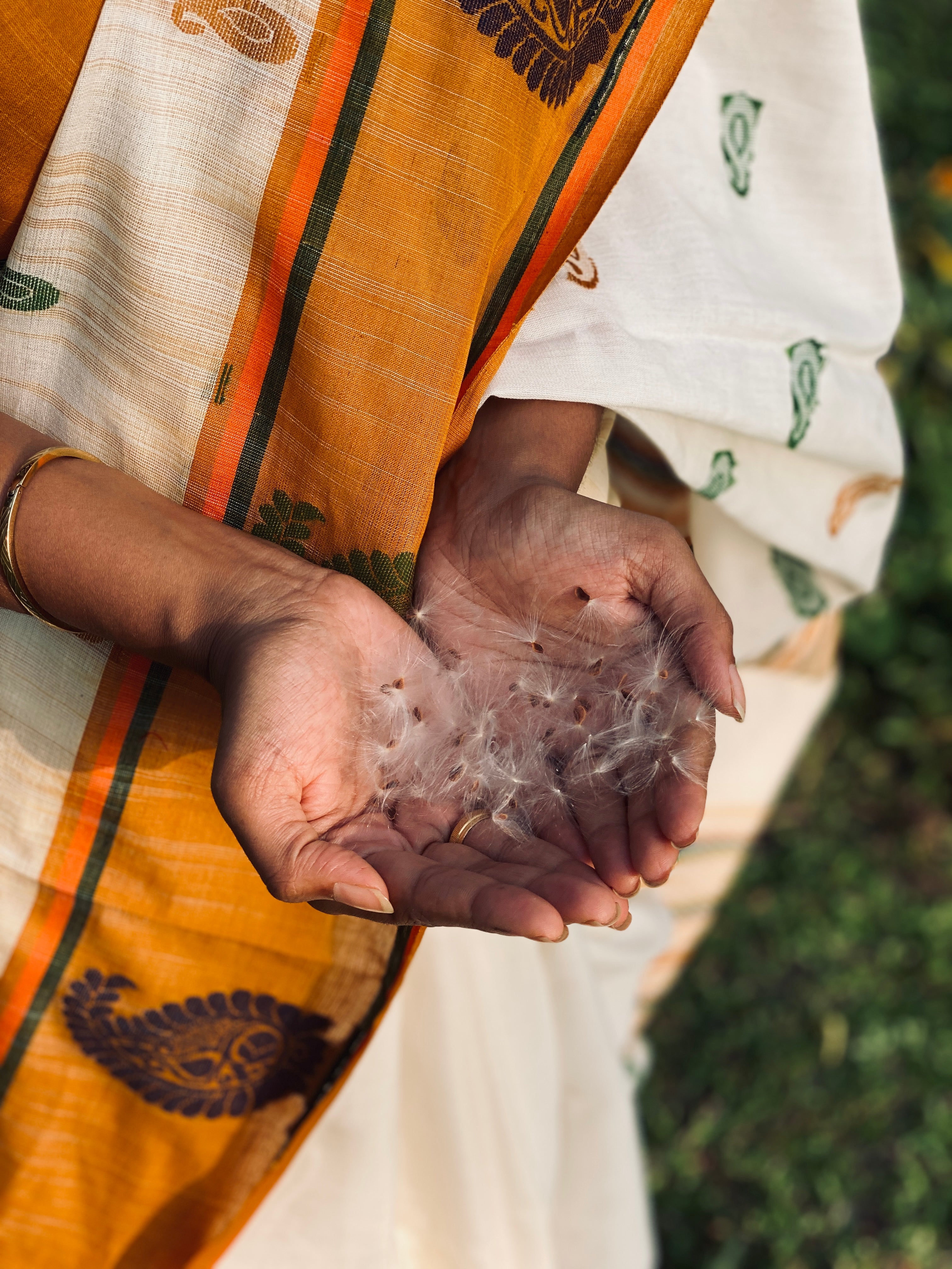 Jamdhani Cotton - Cream