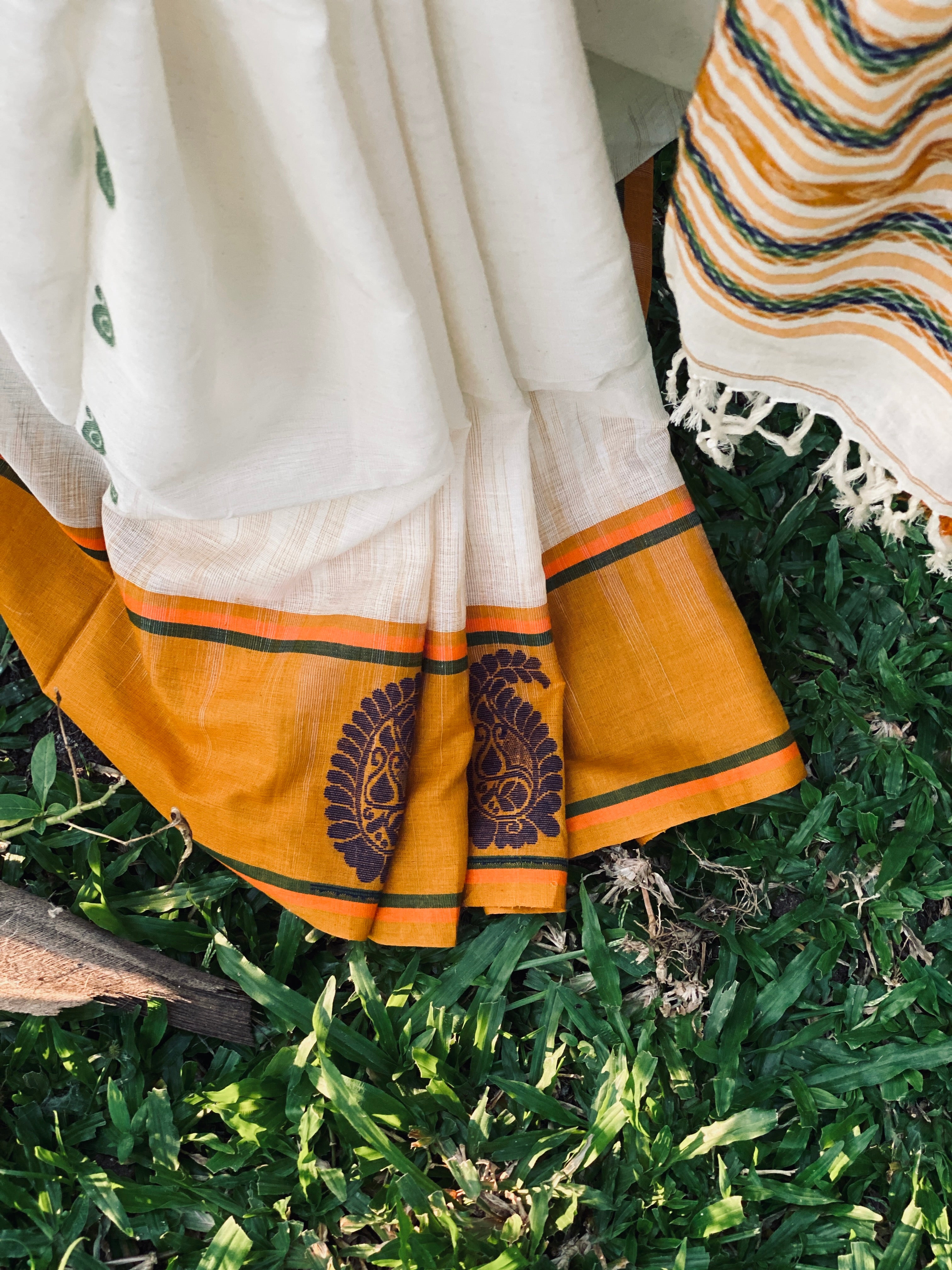 Jamdhani Cotton - Cream