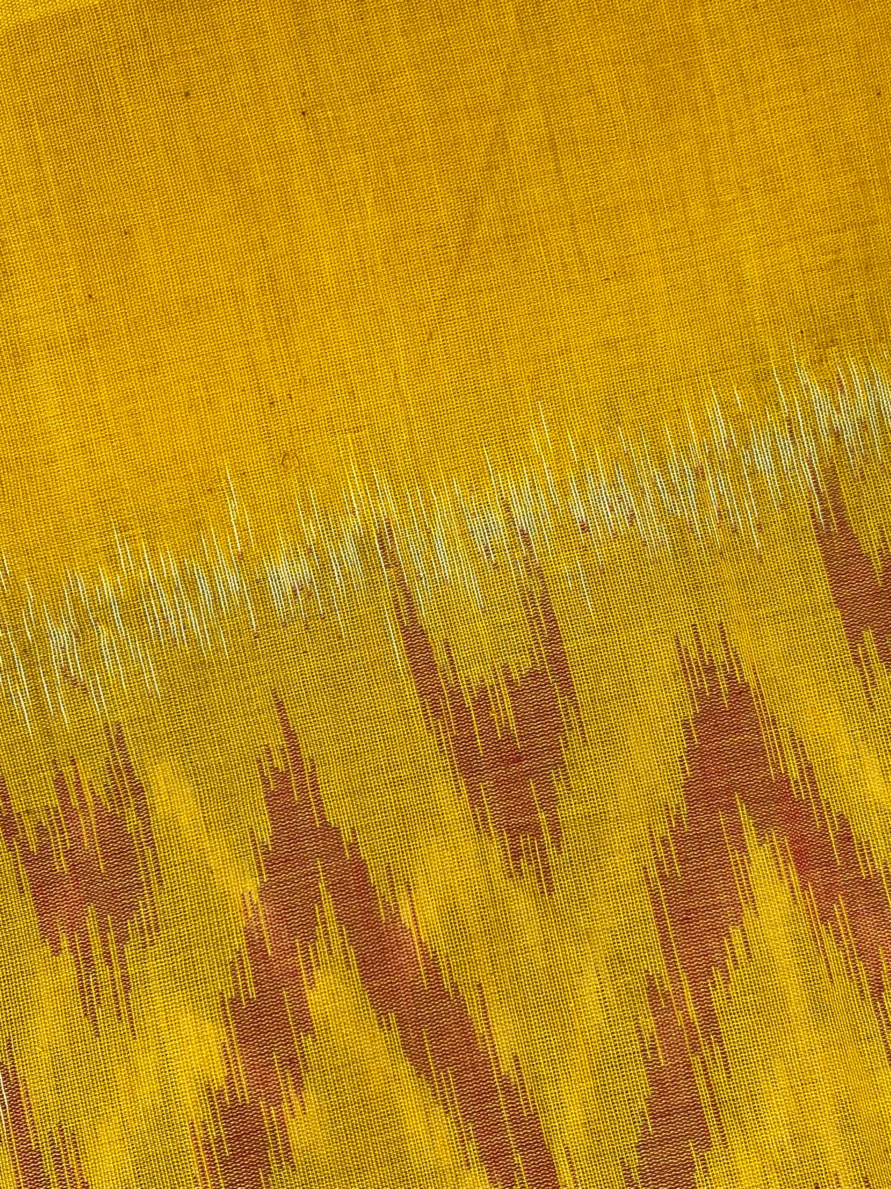 Pochampally Ikkat - Deep Charcoal Grey (Yellow Border)