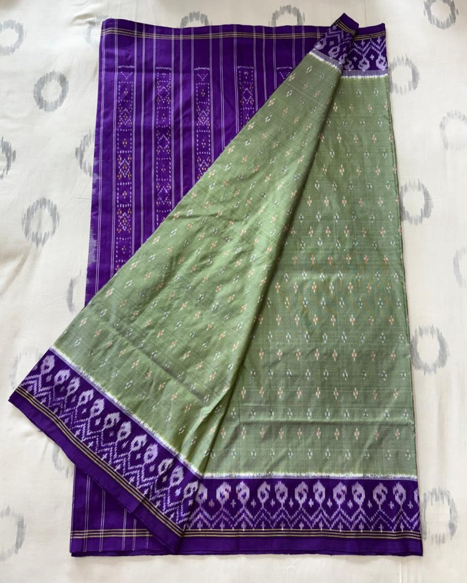 Sage Green - Royal Purple Border Handloom Pochampally Ikkat Pattu