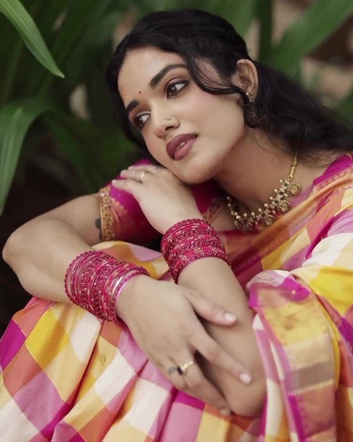 Paalum Pulum Handloom Kanjivaram Silk Saree
