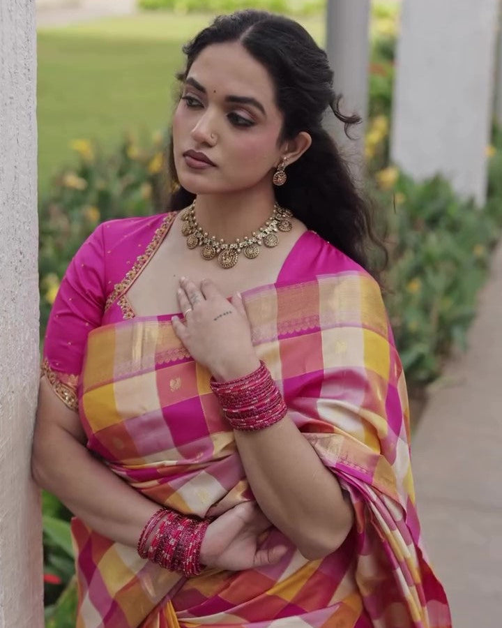 Paalum Pulum Handloom Kanjivaram Silk Saree
