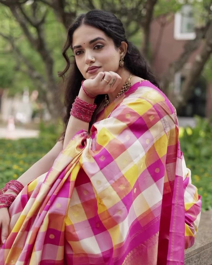 Paalum Pulum Handloom Kanjivaram Silk Saree
