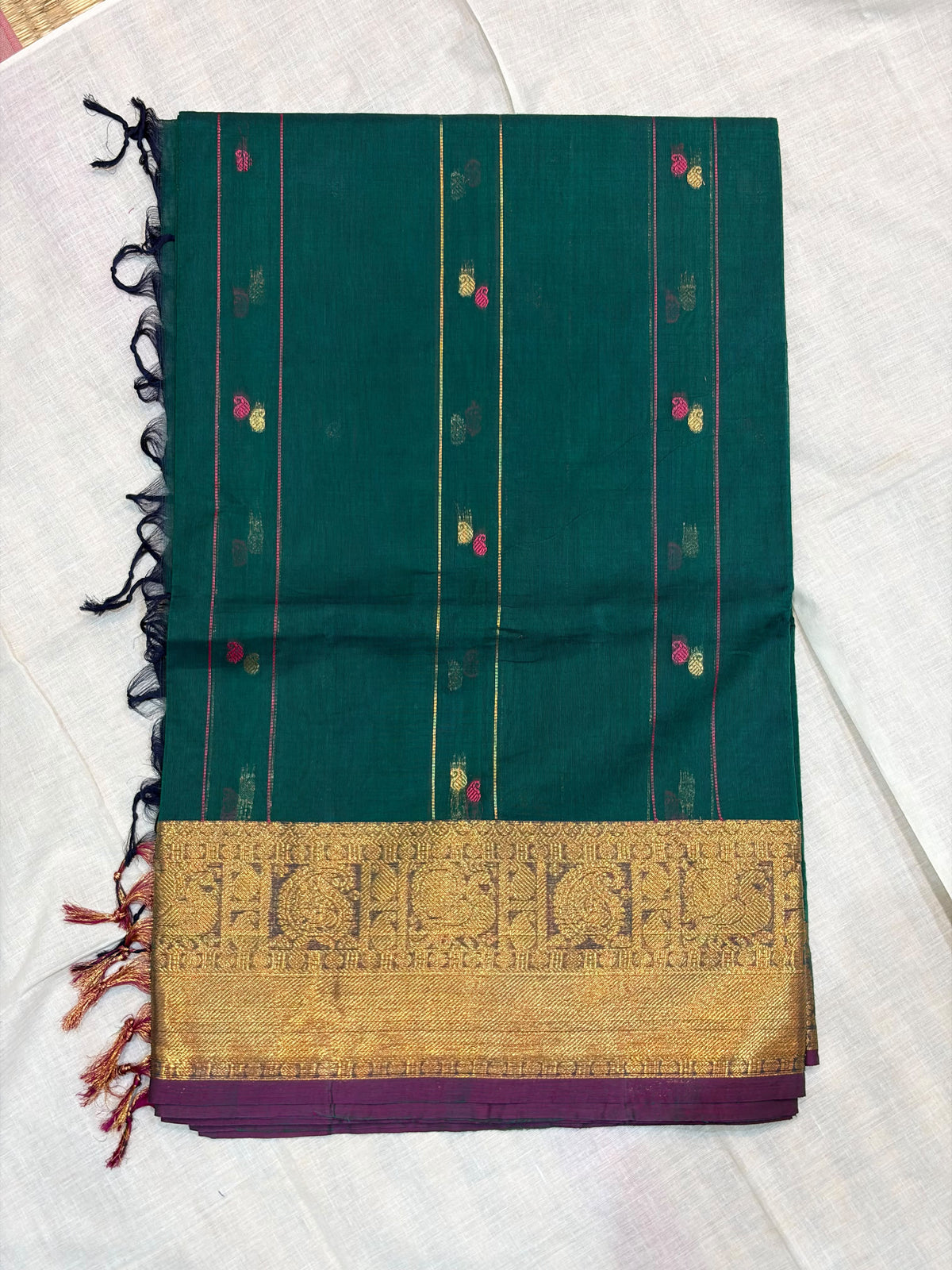 Kanchi Cotton 36