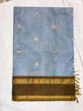 Kanchi Cotton 37