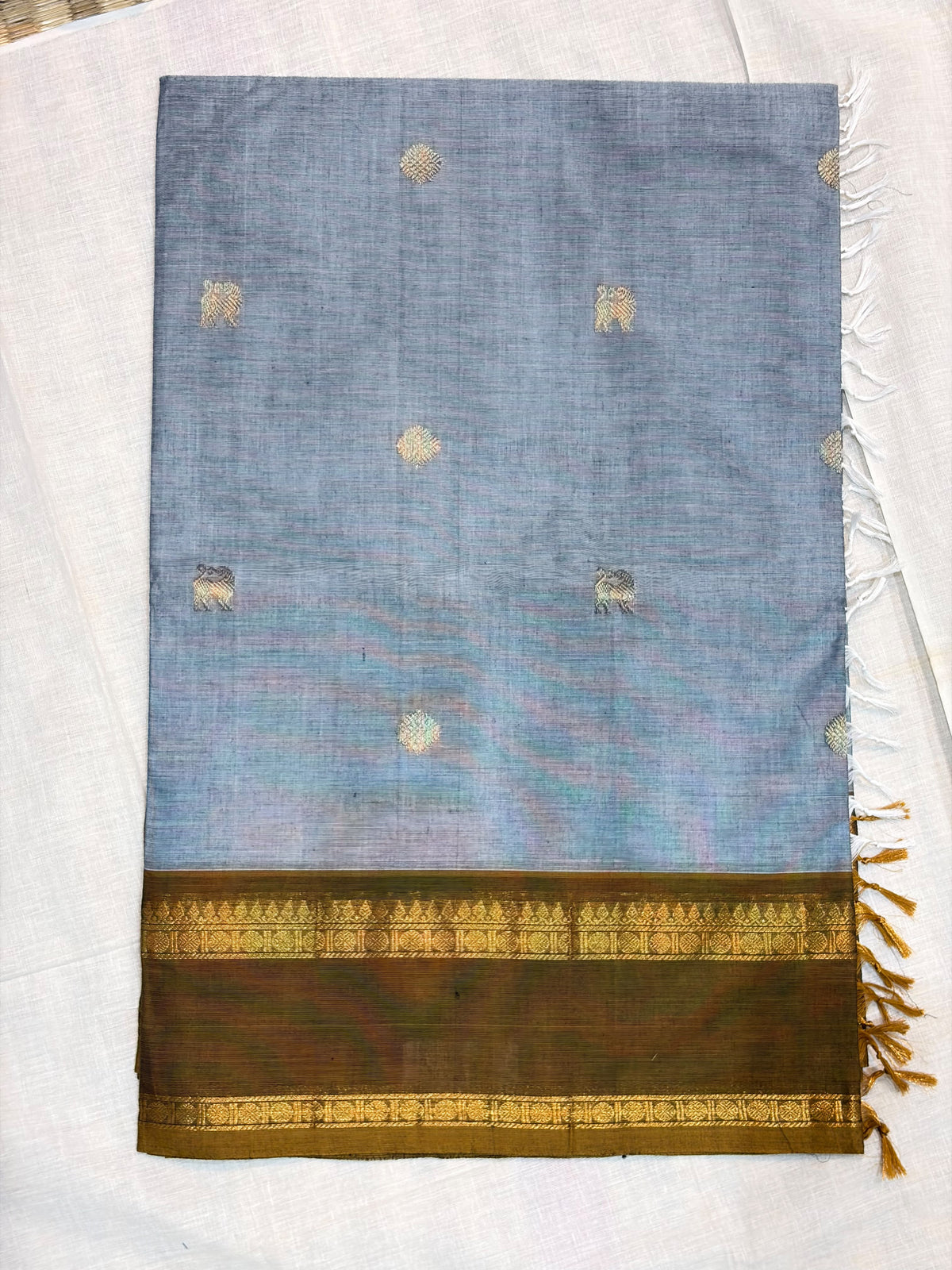 Kanchi Cotton 37