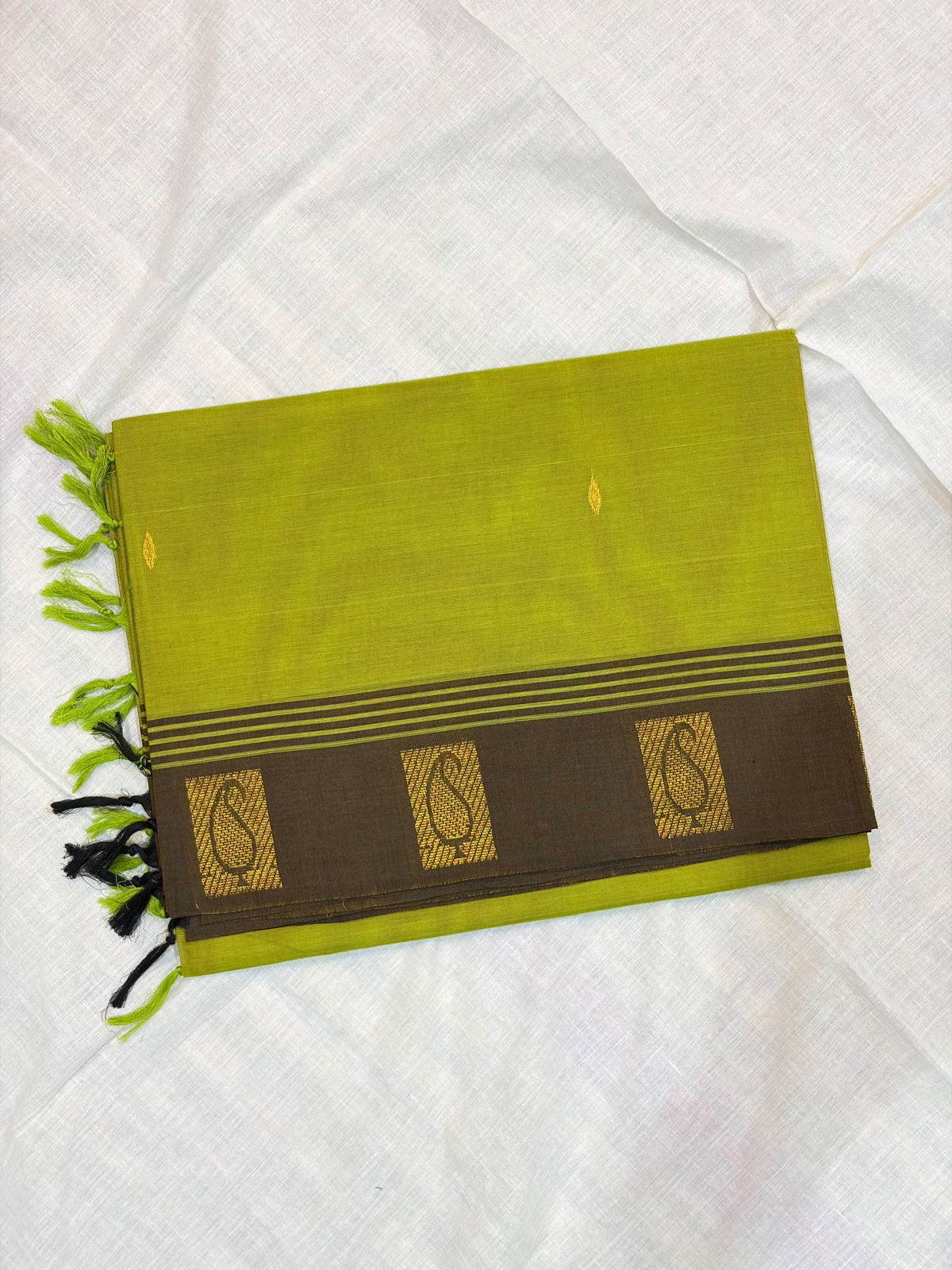 Kanchi Cotton 59