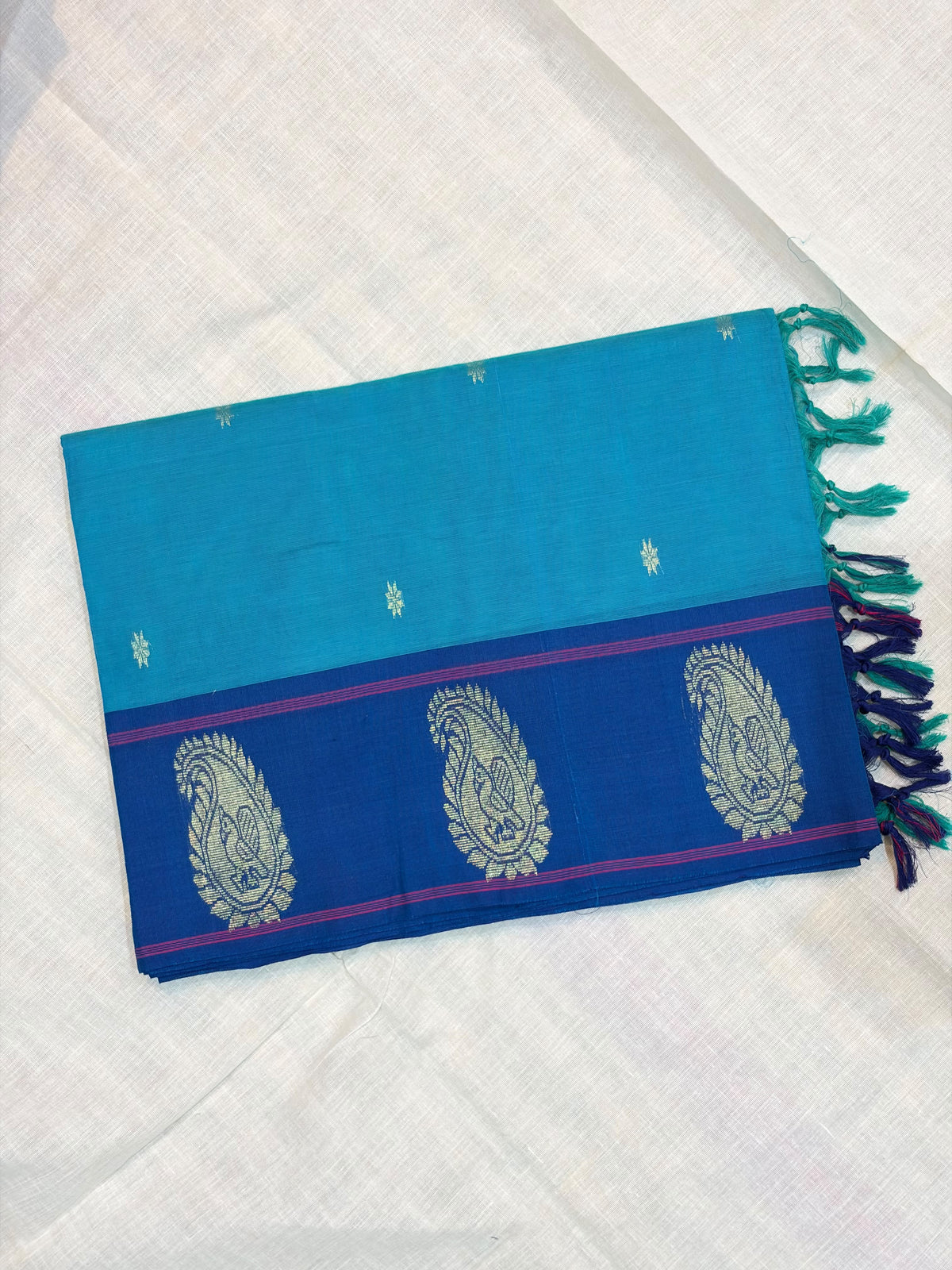 Kanchi Cotton 55