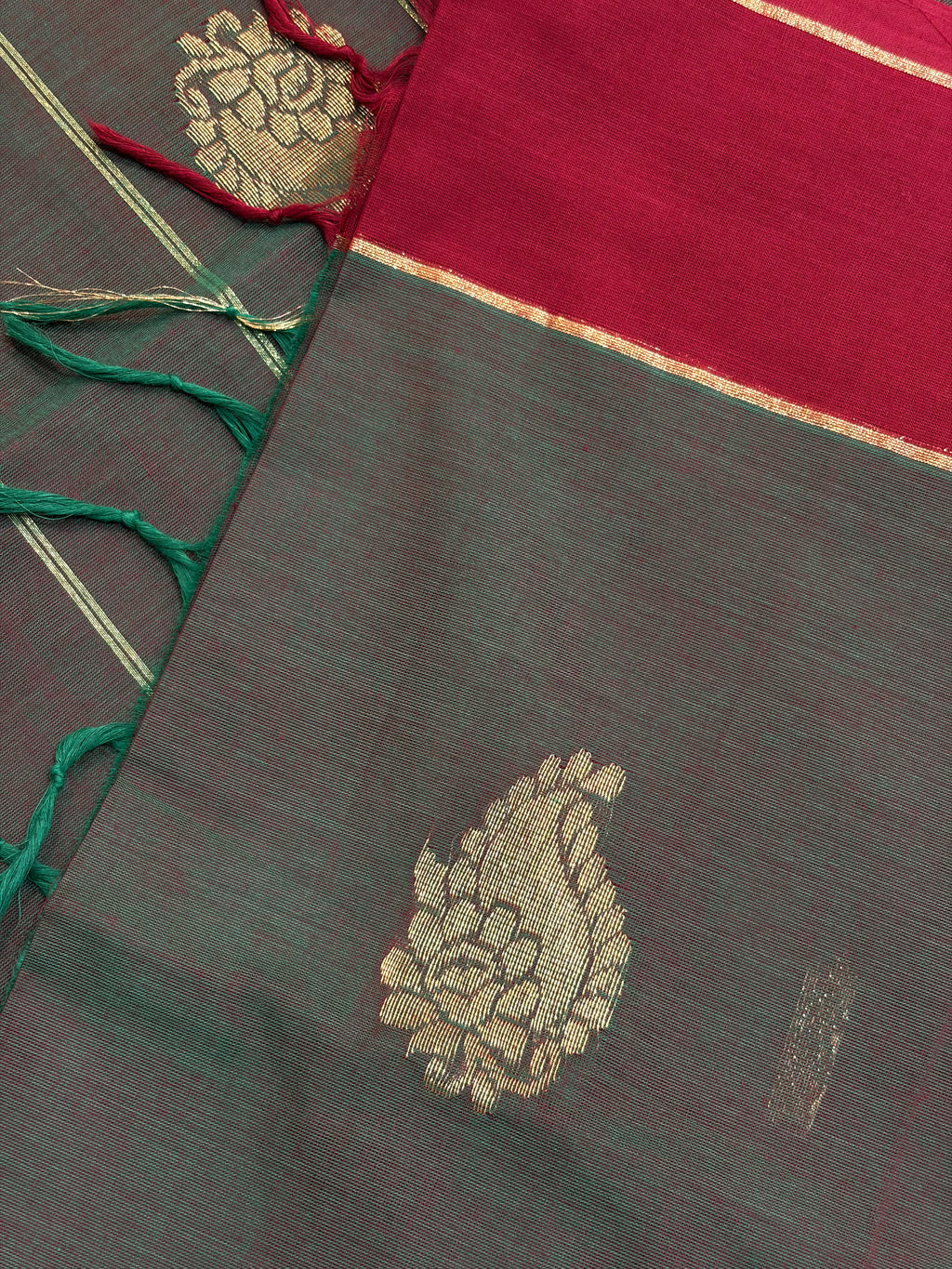 Kanchi Cotton 62