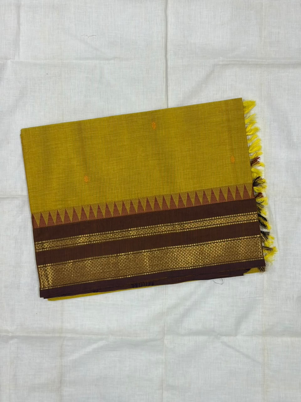 Kanchi Cotton 13