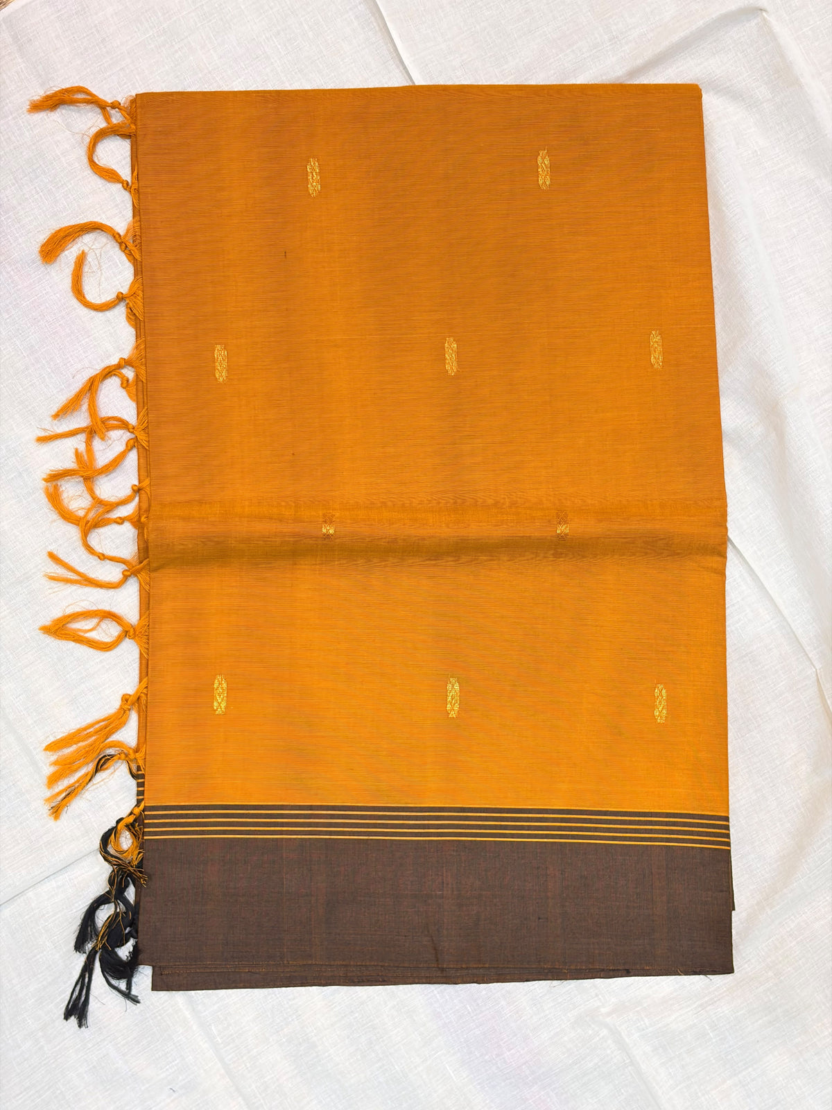 Kanchi Cotton 47